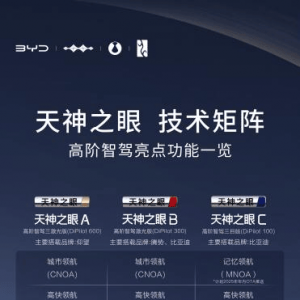 第一个扛起全民智驾的大旗，比亚迪有何底气？