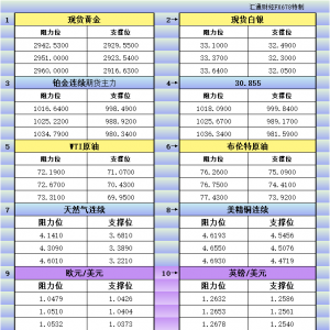2月19日亚市更新支撑阻力：18品种支撑阻力(金银铂钯原油天然气铜及十大货币对) ...
