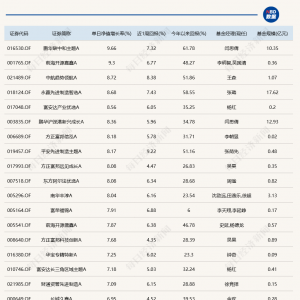 11只基金今日涨超8%，单日冠军年内已涨超60%