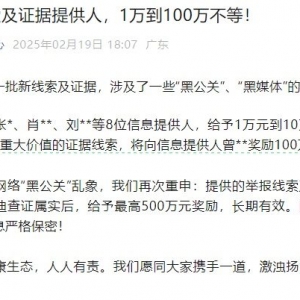 比亚迪奖励9名“黑公关”线索提供人，其中一人获100万元