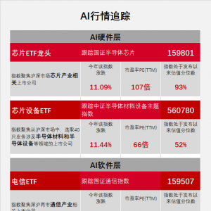 A股算力掀涨停潮！芯片ETF龙头（159801）、人工智能ETF科创（588760）等交投火热 ...