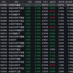 市场早盘低开反弹，中证A500指数下跌0.31%，2只中证A500相关ETF成交额超20亿元 ...