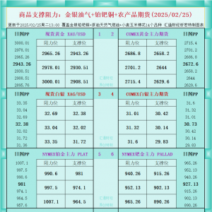 一张图看商品支撑阻力：金银油气+铂钯铜农产品期货(2025/02/25) ...