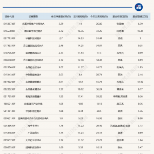 单日上涨2.72%后，年内表现最好的基金收益率已突破70%