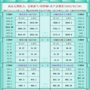 一张图看商品支撑阻力：金银油气+铂钯铜农产品期货(2025/02/26) ...