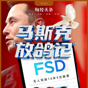 10次承诺9次跳票！马斯克许诺的无人驾驶10年了也没兑现，特斯拉FSD在美德等国面临安全 ...