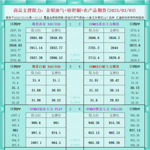 一张图看商品支撑阻力：金银油气+铂钯铜农产品期货(2025/03/03) ...