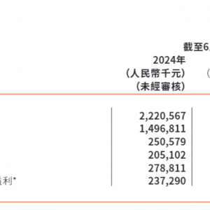 新游驱动下预计2024年营收增幅近五成  心动公司独家回应2025年重点计划：发力小游戏与 ...
