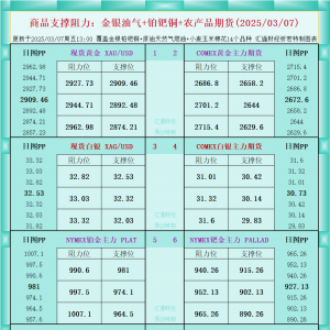 一张图看商品支撑阻力：金银油气+铂钯铜农产品期货(2025/03/07) ...