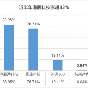 港股“AI牛”行情演绎，近半年涨超83%，港股科技ETF（513020）覆盖AI全产业链 ...
