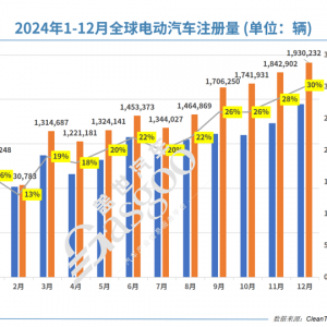 2024年，谁才是全球电动车市场的老大？