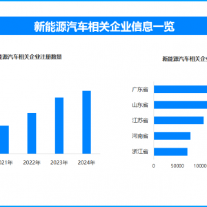 新能源汽车年检新规出台：推荐性国标与远程监控并行强化安全 ...