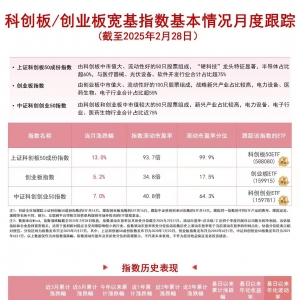 DeepSeek单月狂揽1.57亿活跃用户，科创板50ETF(588080)、科创创业ETF(159781)等产品受 ...