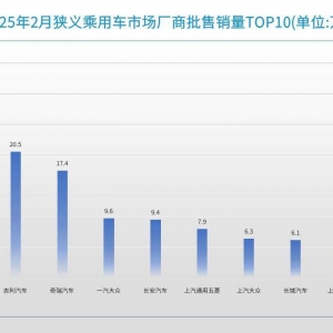 2月车企销量TOP10：比亚迪月销破30万辆，车市格局加速裂变