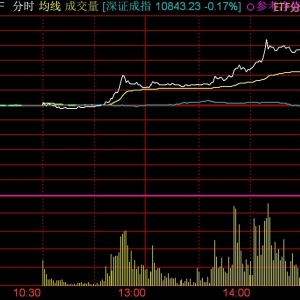 标普消费ETF午后放量拉升，溢价率超25%