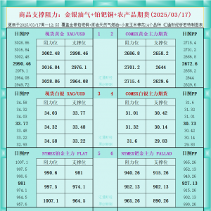 一张图看商品支撑阻力：金银油气+铂钯铜农产品期货(2025/03/17) ...
