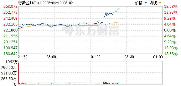 R图 TSLA_0