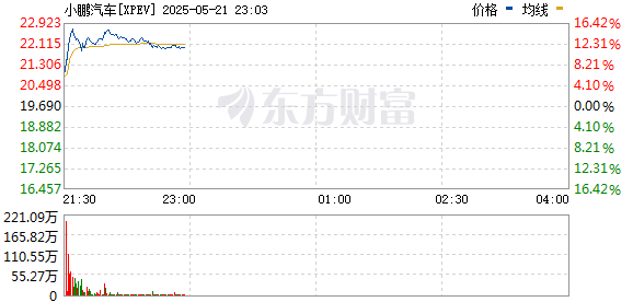 R图 XPEV_0
