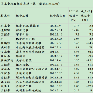 2025上半场基金投顾“满堂红”：明星组合平均收益率达6.48%