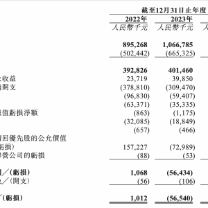 连续两年亏损、负债净额超20亿元  海拍客赴港IPO：母婴垂直电商的“悬崖一跃”？ ...