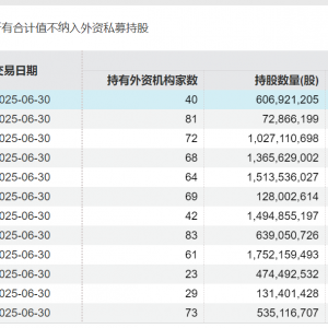 全球资金聚焦中国资产！外资持仓规模近2.4万亿，这些个股最受青睐 ...