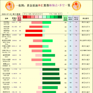 一张图：2025年7月23日黄金原油外汇股指“枢纽点+多空持仓信号”一览 ...