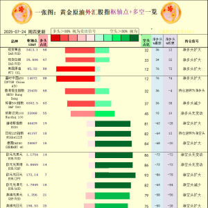 一张图：2025年7月24日黄金原油外汇股指“枢纽点+多空持仓信号”一览 ...