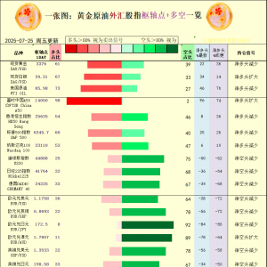 一张图：2025年7月25日黄金原油外汇股指“枢纽点+多空持仓信号”一览 ...