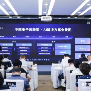 直击WAIC 2025 | 当“如何落地”成AI高频问题  中国电子云：“懂业务”比单纯技术优势 ...