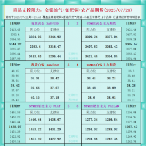 一张图看商品支撑阻力：金银油气+铂钯铜农产品期货(2025年7月28日) ...
