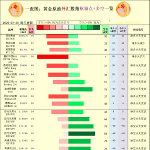 一张图：2025年7月30日黄金原油外汇股指“枢纽点+多空持仓信号”一览 ...
