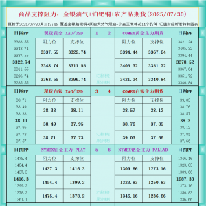 一张图看商品支撑阻力：金银油气+铂钯铜农产品期货(2025年7月30日) ...