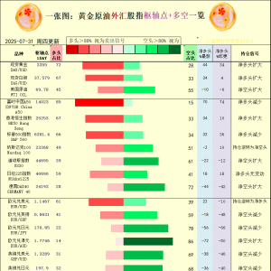 一张图：2025年7月31日黄金原油外汇股指“枢纽点+多空持仓信号”一览 ...