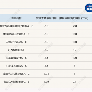 沪指站上3600点！主动型基金却频频限购，怎么回事？