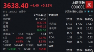 A股盘中波动较大，沪指半日微涨0.12%