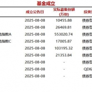 今日9只基金公告成立