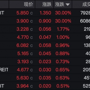 太火爆！首批两单数据中心REITs上市首日30CM涨停，专家解析背后逻辑 ...