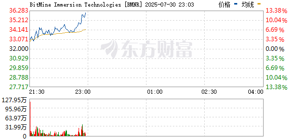 R图 BMNR_0
