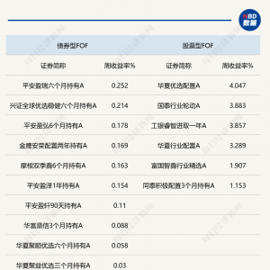 公募FOF上周表现出色，绝大多数产品年内业绩收正，创五年来最佳 ...