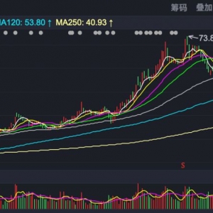 跟着QFII淘金A股！摩根士丹利重点加仓新消费、医药、新材料