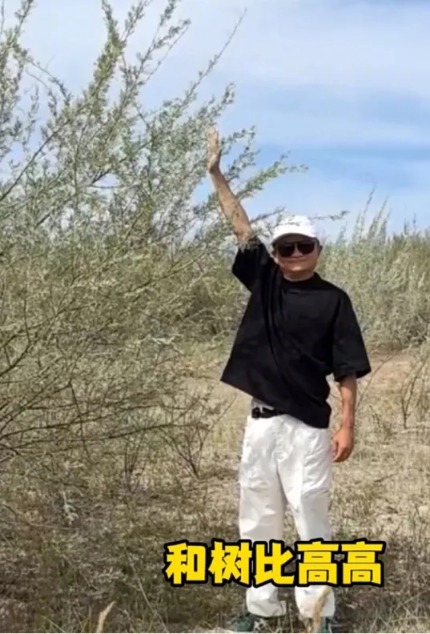 马云参观蚂蚁森林 