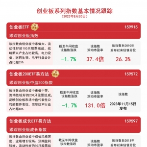 创业板获资金逆势“抢筹”，创业板ETF（159915）半日净申购超8000万份 ...
