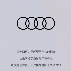 一汽奥迪发文疑似嘲讽上汽奥迪采用AUDI品牌：纵使电动时代，不妥协的基因也未被改写， ...