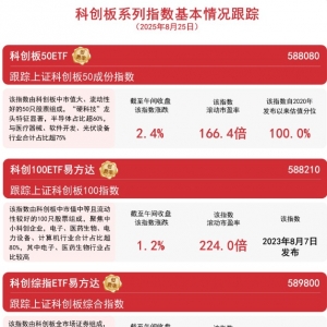 AI芯片板块活跃，科创板50指数延续涨势，科创板50ETF（588080）半日成交额近25亿元 ...