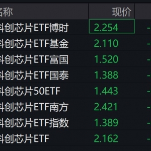 芯片概念股走低，科创芯片相关ETF跌超4%