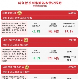 科技板块震荡回调，关注科创综指ETF易方达（589800）、科创板50ETF（588080）等产品走 ...