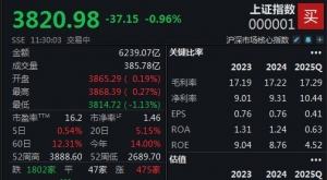 A股连续宽幅震荡，沪指半日下跌0.96%