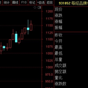 每经品牌100指数9月“开门红”，成分股阿里巴巴备受资金热捧 ...