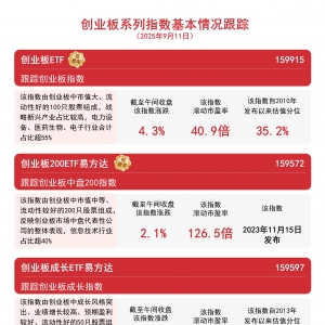 创业板指大涨4.3%站上3000点，创业板ETF（159915）半日成交额近50亿元 ...