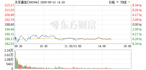 R图 300394_0